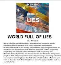 the cover of world full of lies